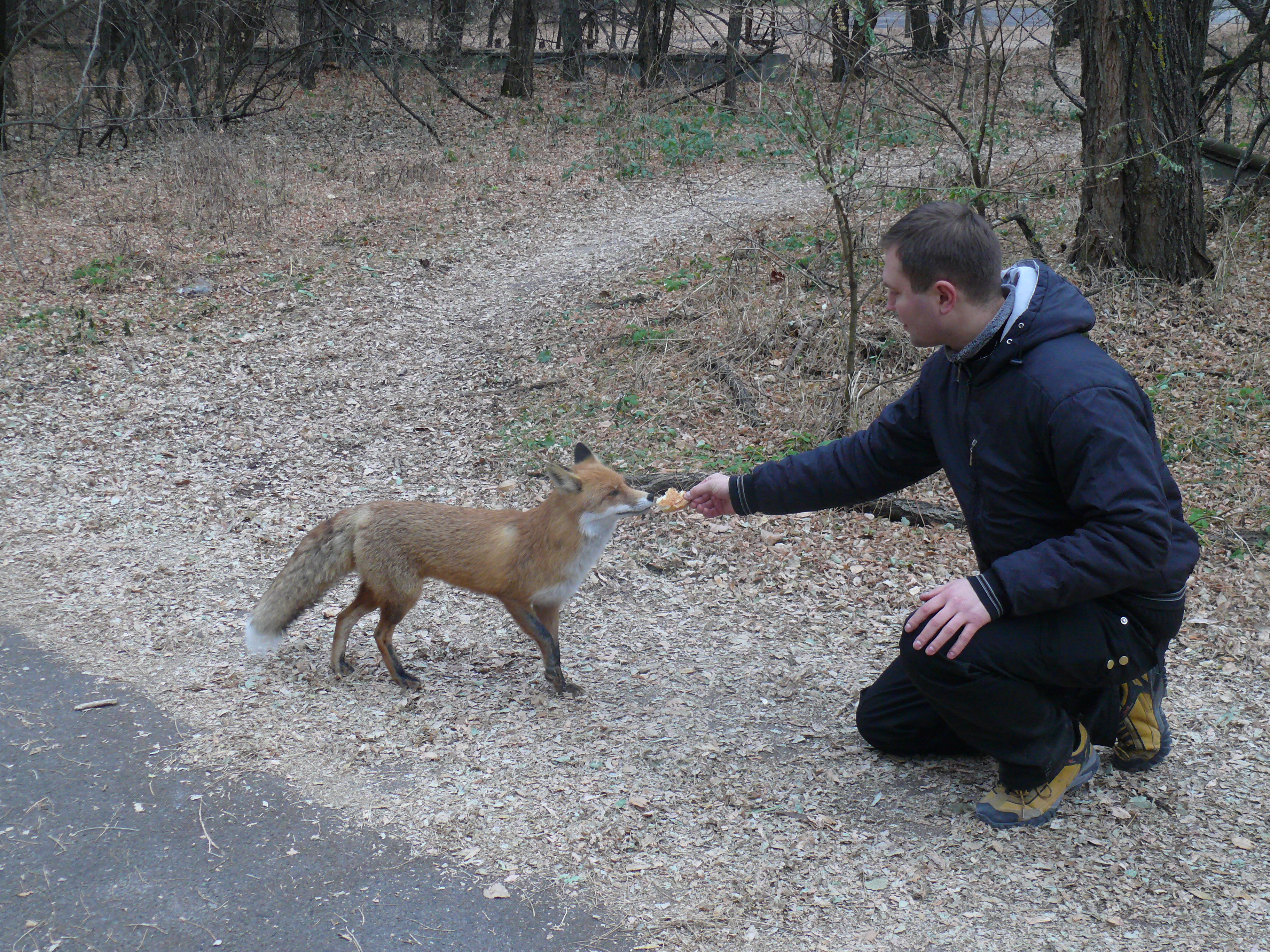 Зона отчуждения, экскурсии
